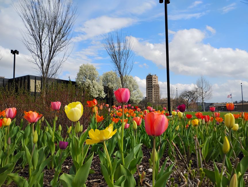 Ann Arbor Affordable Housing: Dunbar Tower Project