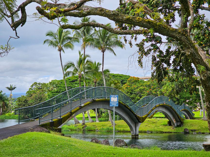 Hawaii flood risk: Big Island property planning guide