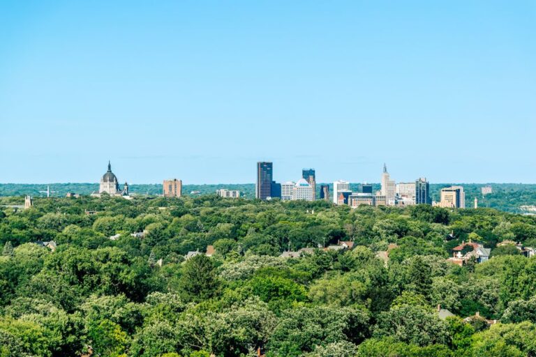 A panoramic view of Saint Paul's skyline standing behind a vast area of lush greenery under a clear blue sky.