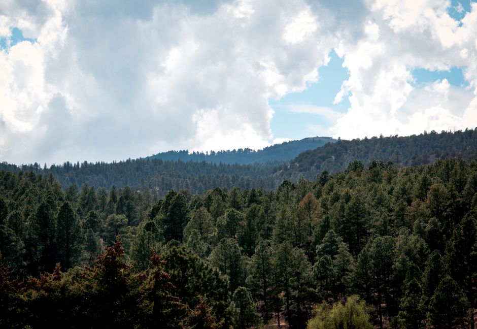 Hondo flood response: What New Mexico investors should know