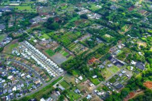 Stunning aerial shot showcasing the vibrant greenery and suburban layout of a peaceful neighborhood.