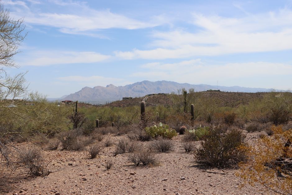 Tucson Flood Map Updates: What Pima County Owners Need