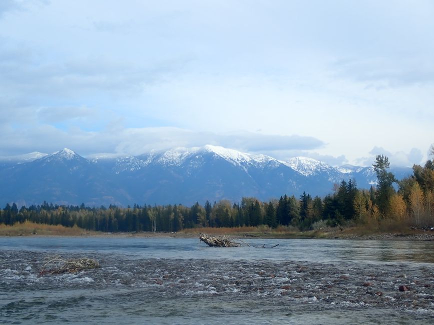 Whitefish Wildfire Protection Plan: Montana Property Guide
